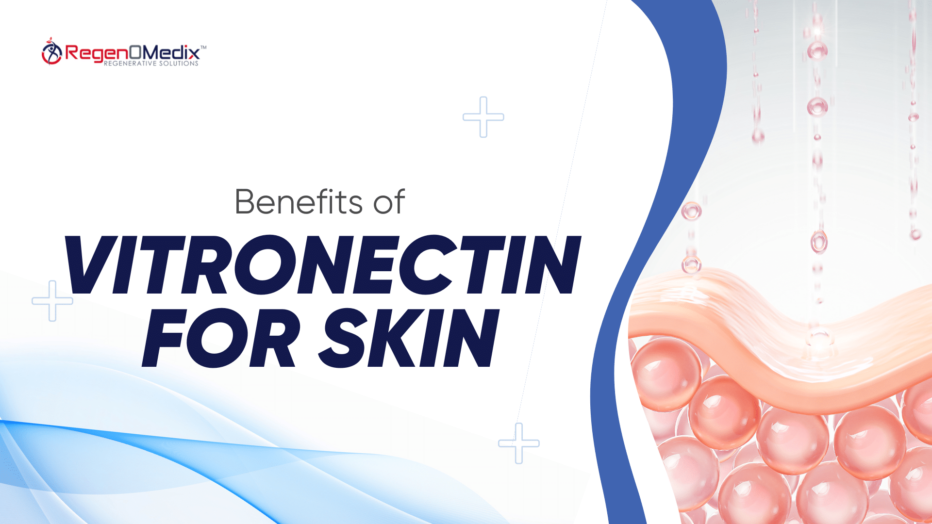 Benefits of Vitronectin for Skin