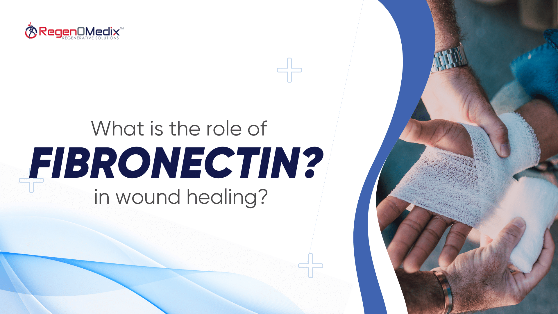 What is the Role of Fibronectin in Wound Healing